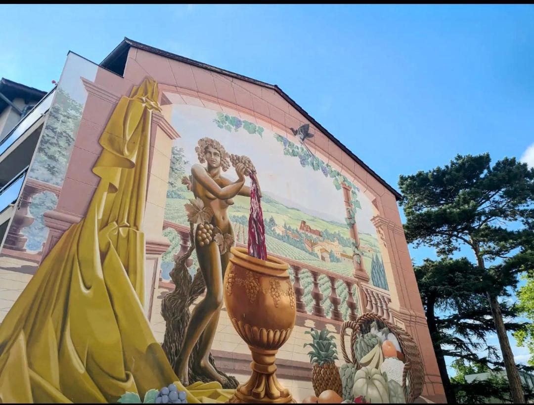 Ravissant Appartement T2 Proche Autoroute Et Centre-Ville Villefranche-sur-Saône 외부 사진