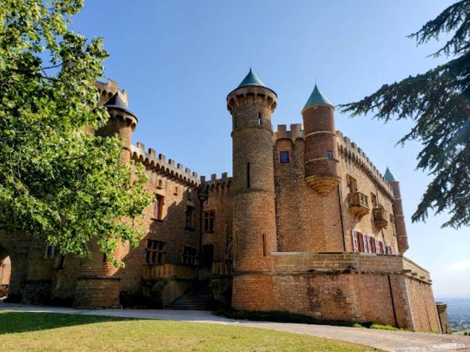 Ravissant Appartement T2 Proche Autoroute Et Centre-Ville Villefranche-sur-Saône 외부 사진