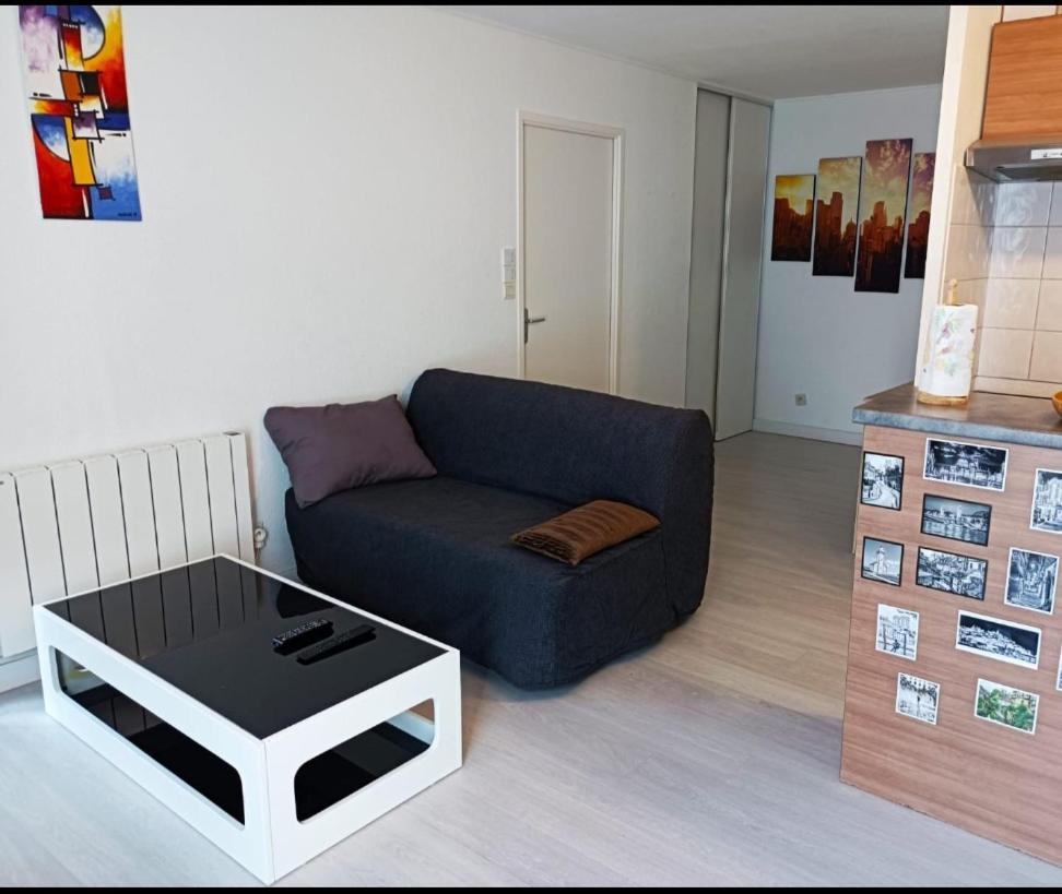 Ravissant Appartement T2 Proche Autoroute Et Centre-Ville Villefranche-sur-Saône 외부 사진